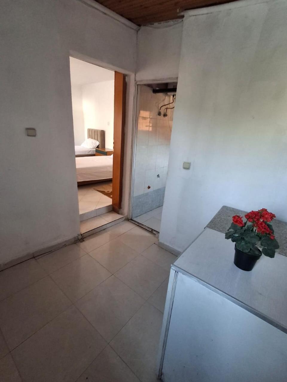 Aleko Guest House Gjirokastër Buitenkant foto